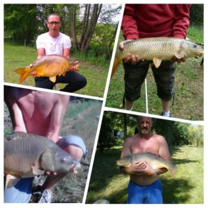 Les plus belles carpes